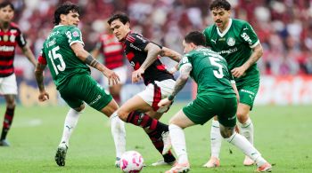 Confira os principais detalhes e estatísticas para a reta final do Brasileirão.